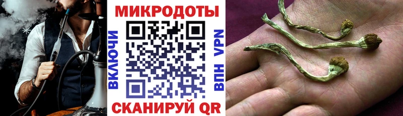 Псилоцибиновые грибы прущие грибы  Пущино 